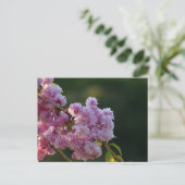 桜 ポストカード (スタンド正面)