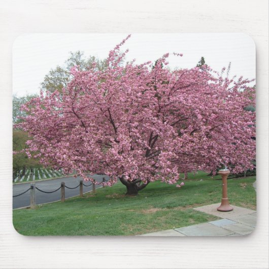 桜 マウスパッド (正面)