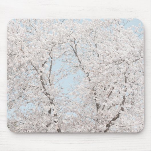 桜 マウスパッド (正面)