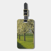 桜 ラゲッジタグ (正面縦)
