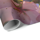 桜 ラッピングペーパー (ロールコーナー)