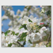 桜 ラッピングペーパー (フラット)