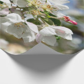 桜 ラッピングペーパー (角)