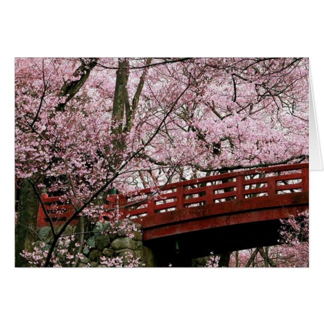 桜(中ブランク) (正面横)