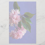 桜 便箋 (正面)