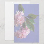 桜 便箋 (正面/裏面)