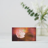 桜 名刺 (スタンド正面)