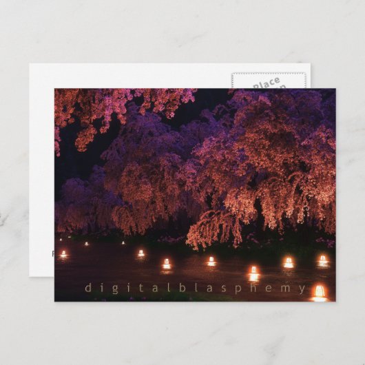 桜（夜） ポストカード (正面/裏面)