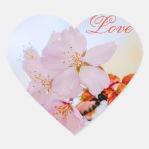 桜-日本のさくらんぼの花 ハートシール