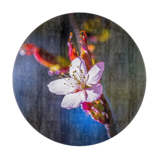 桜-日本のさくらんぼ花 カッティングボード (正面)