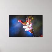 桜-日本のさくらんぼ花 キャンバスプリント (正面)