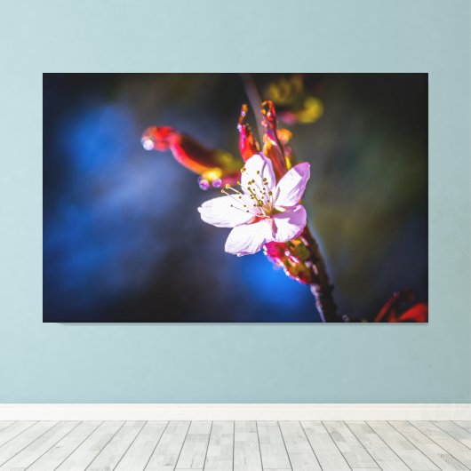桜-日本のさくらんぼ花 キャンバスプリント (インサイチュ (ウッドフロア))