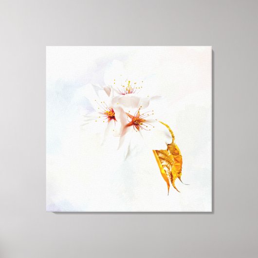 桜-日本のさくらんぼ キャンバスプリント (正面)