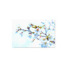 桜-日本のさくらんぼ