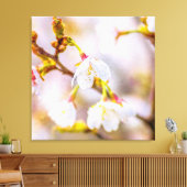 桜-日本のさくらんぼ キャンバスプリント (インサイチュ (リビング))