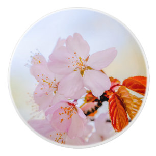 桜-日本のさくらんぼ セラミックノブ