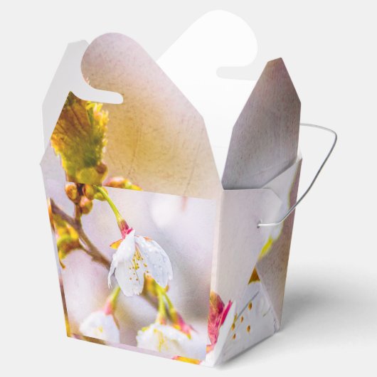 桜-日本のさくらんぼ フェイバーボックス (オープン)