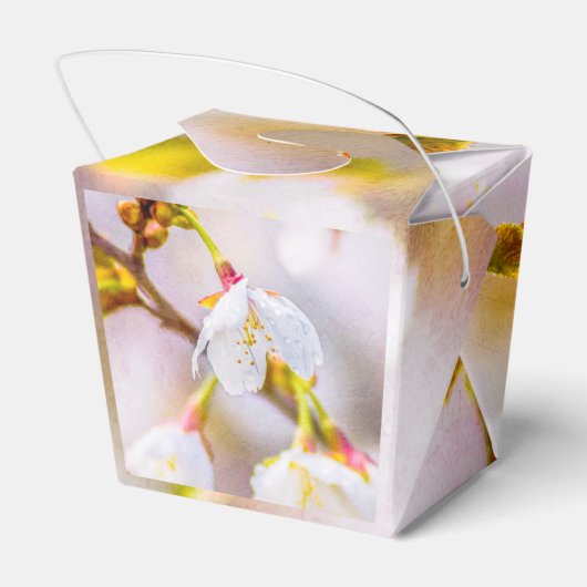 桜-日本のさくらんぼ フェイバーボックス (裏面サイド)