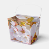 桜-日本のさくらんぼ フェイバーボックス (正面サイド)