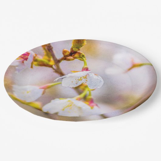 桜-日本のさくらんぼ ペーパープレート (アングル)