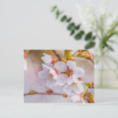 桜-日本のさくらんぼ ポストカード (スタンド正面)