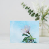 桜-日本のさくらんぼ ポストカード (スタンド正面)