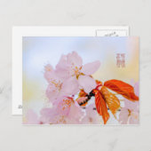 桜-日本のさくらんぼ ポストカード (正面/裏面)