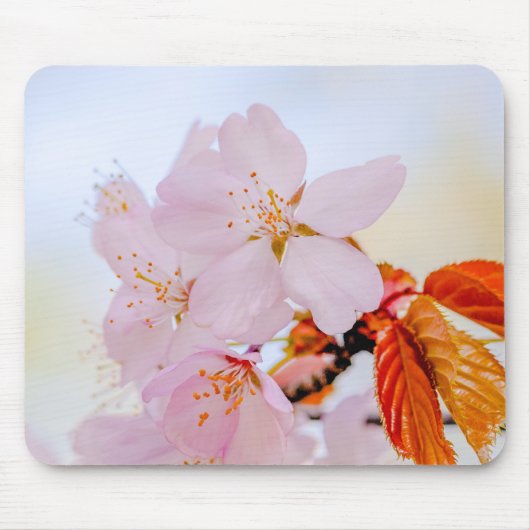 桜-日本のさくらんぼ マウスパッド (正面)