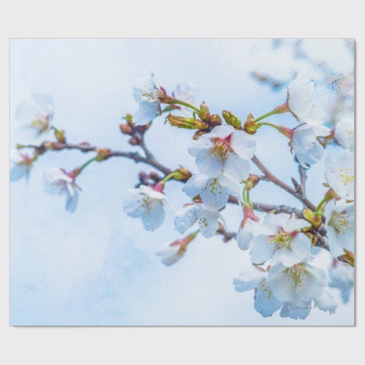 桜-日本のさくらんぼ ラッピングペーパー (フラット)
