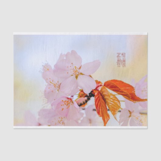 桜-日本のさくらんぼ 薄葉紙 (正面)