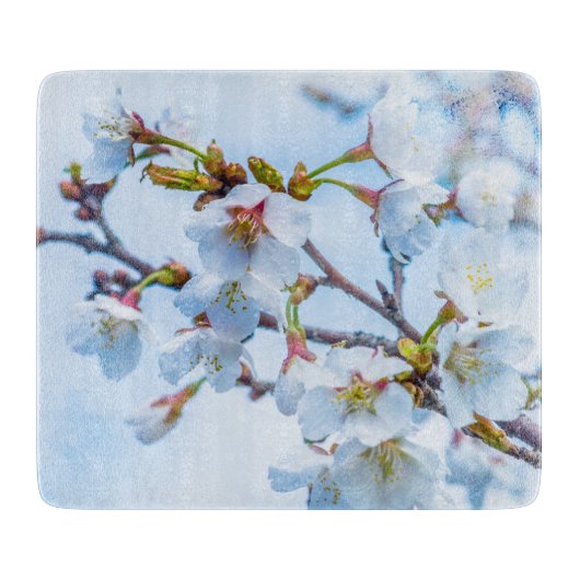 桜 - 日本の桜 カッティングボード (正面)