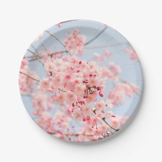 桜 日本 花 ピンクの桜 ペーパープレート (正面)