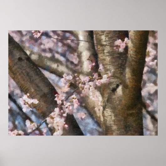 桜 - 春の花 ポスター (正面)