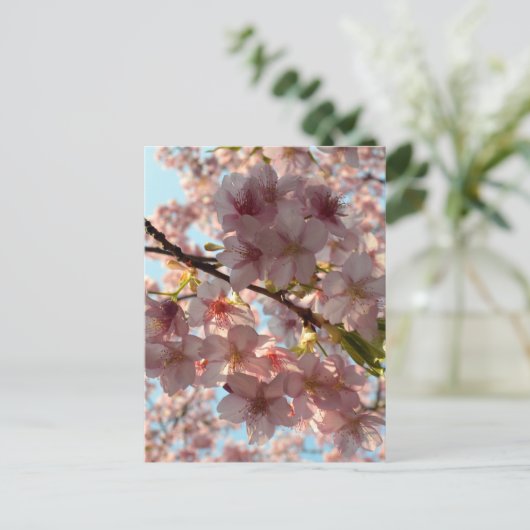 桜: 東京 ポストカード (スタンド正面)