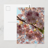 桜: 東京 ポストカード (正面/裏面)