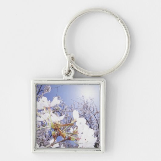 桜、終わりのスズメバチ キーホルダー (正面)