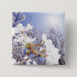 桜、終わりのスズメバチ 缶バッジ