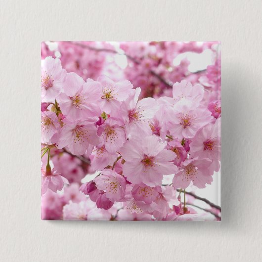 桜 缶バッジ (正面)