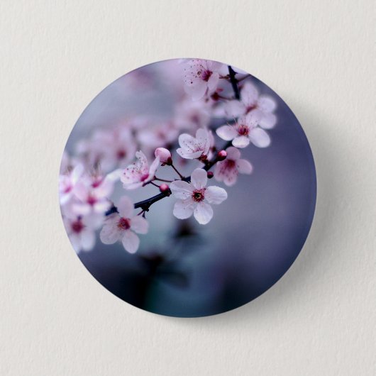 桜 缶バッジ (正面)