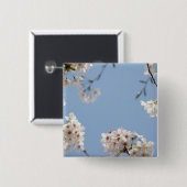 桜 缶バッジ (正面&裏面)