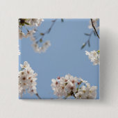 桜 缶バッジ (正面)