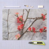 桜 薄葉紙 (クラフト)