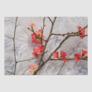 桜 薄葉紙