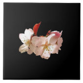 桜Trivet タイル (正面)