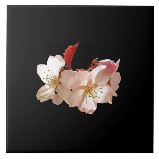 桜Trivet タイル (正面)