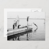 桟橋からのダイビング， 1904 ポストカード (正面/裏面)