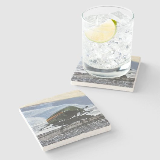 桟橋のコースターの甲虫 ストーンコースター (横)