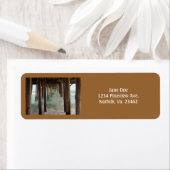 桟橋の下 ラベル (インサイチュ)