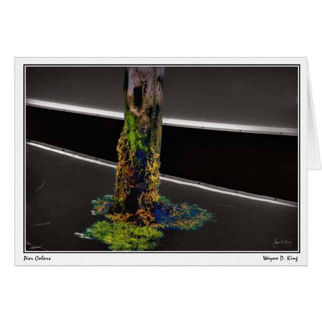 桟橋色 (正面横)