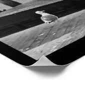 桟橋39 ポスター (角)